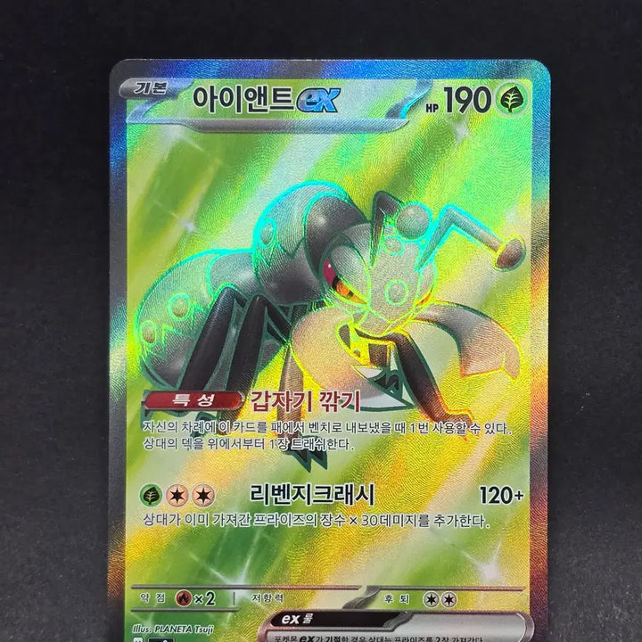 [BUNJANG] Aynte EX SR "Pokémon Card" / 아이앤트 SR