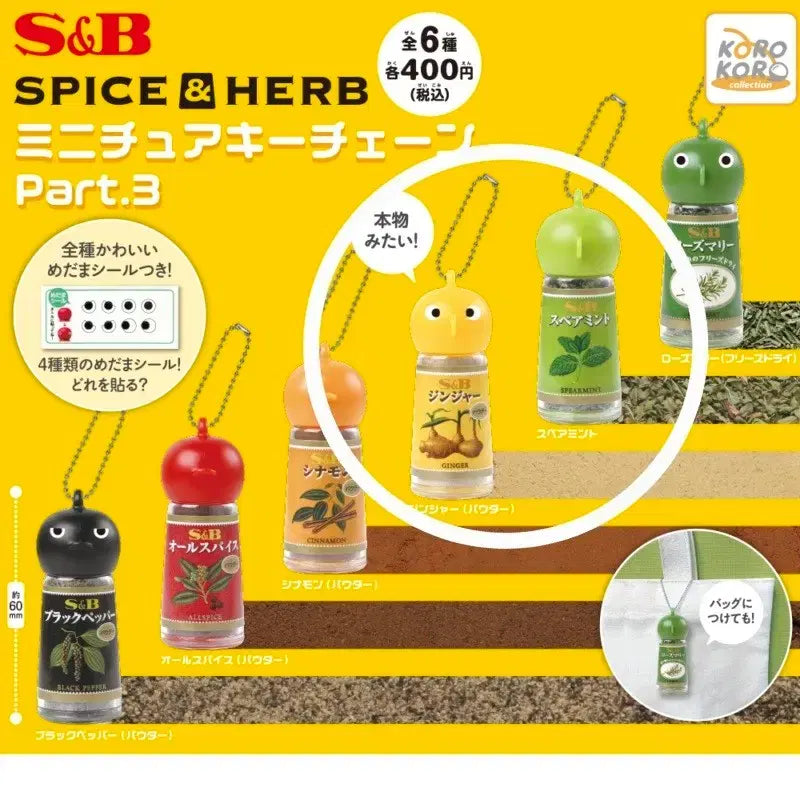 [BUNJANG] S&amp;B Spice &amp; Herb Miniature Gacha Series 3 Keychain Set / 에스앤비 S&amp;B 미니어처 가챠 3탄 스파이스&amp;허브