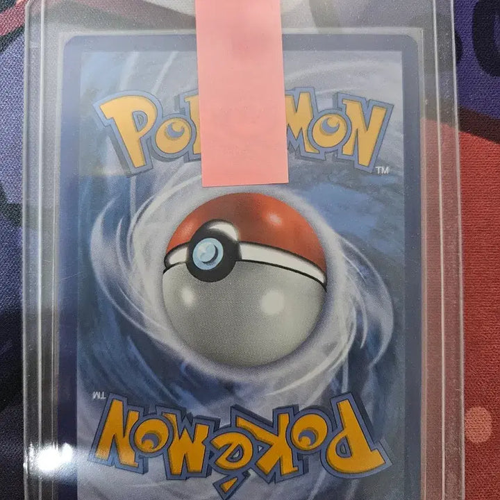 [BUNJANG] Pokemon Card Marie Autographed Card / 포켓몬카드 마리 싸인카드