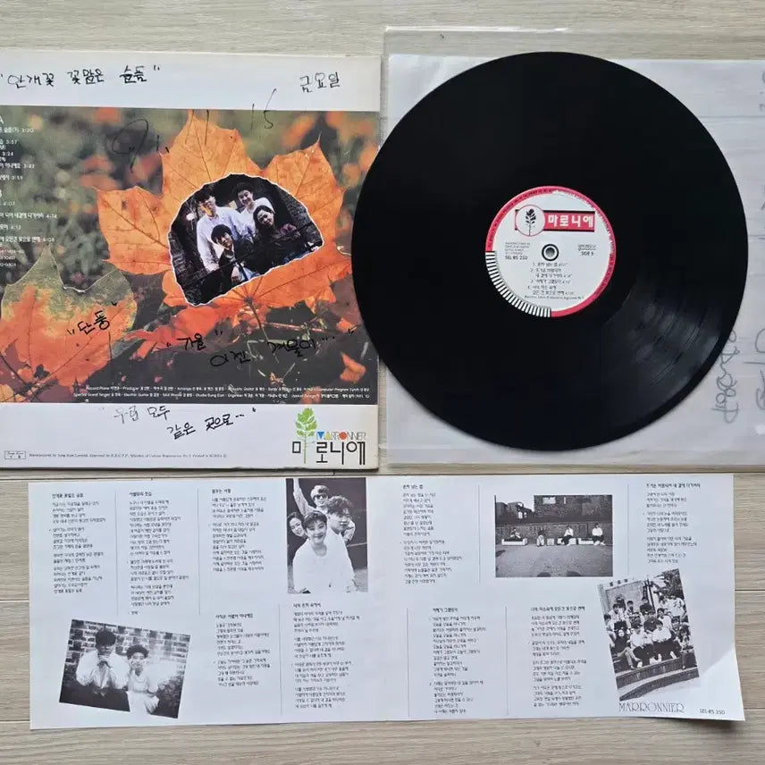 [BUNJANG] Maronnier 1st Album LP / 마로니에 1집 LP