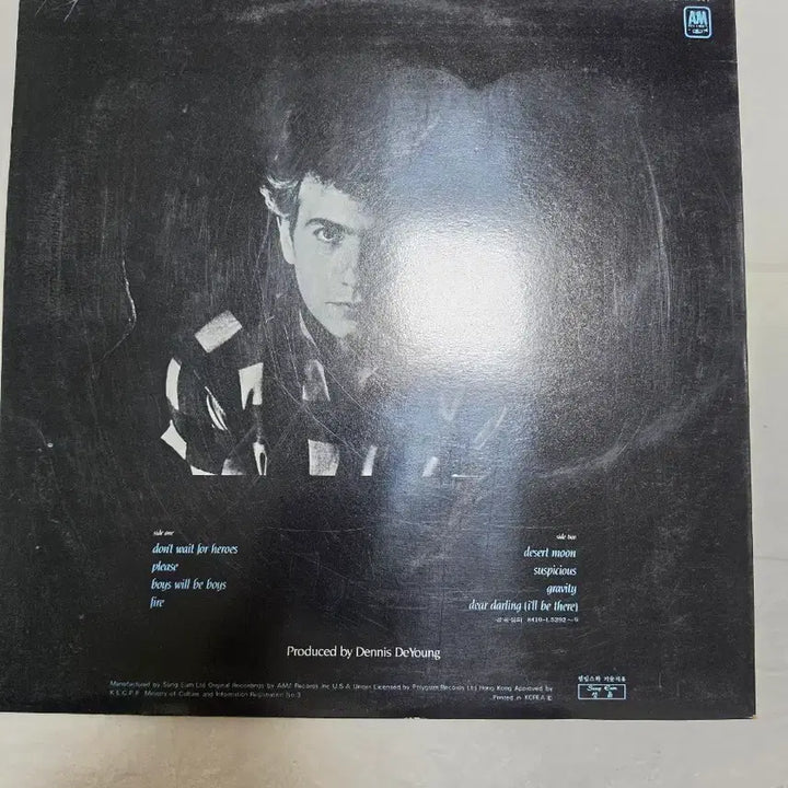 [BUNJANG] Dennis DeYoung Desert Moon LP / 데니스 드영 LP Desert Moon 스틱스 보컬리스트