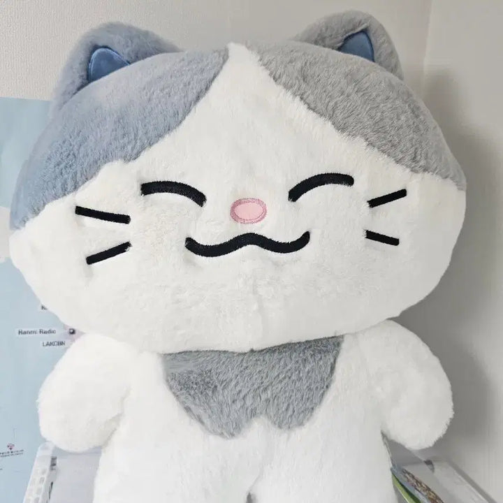 [BUNJANG] NCT DREAM DREAMIES Large Plush / 엔시티드림 드리미즈 대왕 러묘