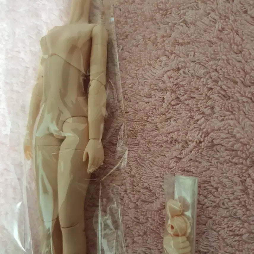 [BUNJANG] Obitsu 22 Normal Body (M/S Size) / 오비츠22 노멀 (m또는s)