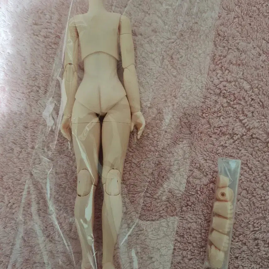 [BUNJANG] Obitsu 22 Normal Body (M/S Size) / 오비츠22 노멀 (m또는s)
