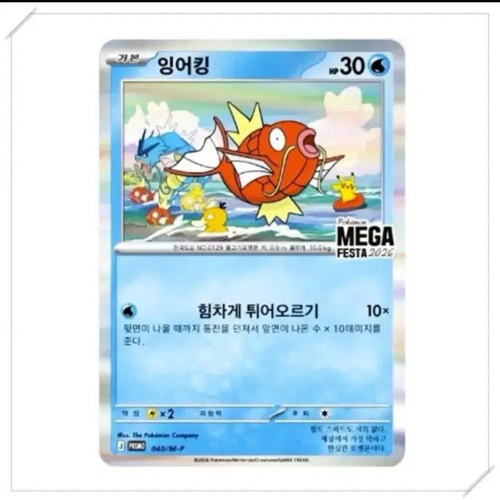[BUNJANG] Pokemon Magikarp Card / 포켓몬 잉어킹 카드