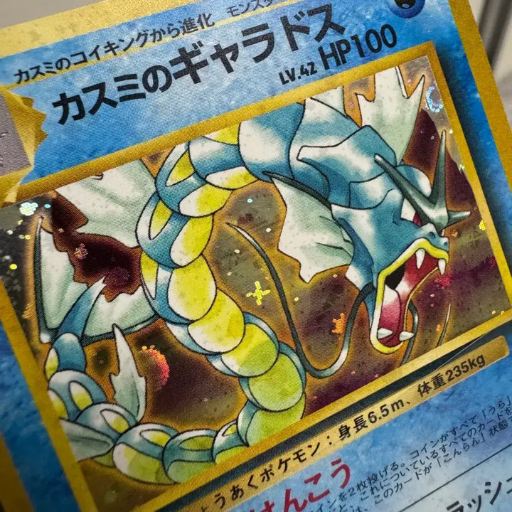 [BUNJANG] Pokemon Card Japanese Old Back First Edition Gyarados, Magikarp, etc. Bundle Set / 포켓몬카드 일판 구뒷면 초판 갸라도스 외 잉어킹 등 일괄