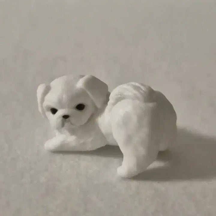 [BUNJANG] Dog Gachapon Capsule Toy with Freebies / 강아지 가챠 캡슐토이 + 덤