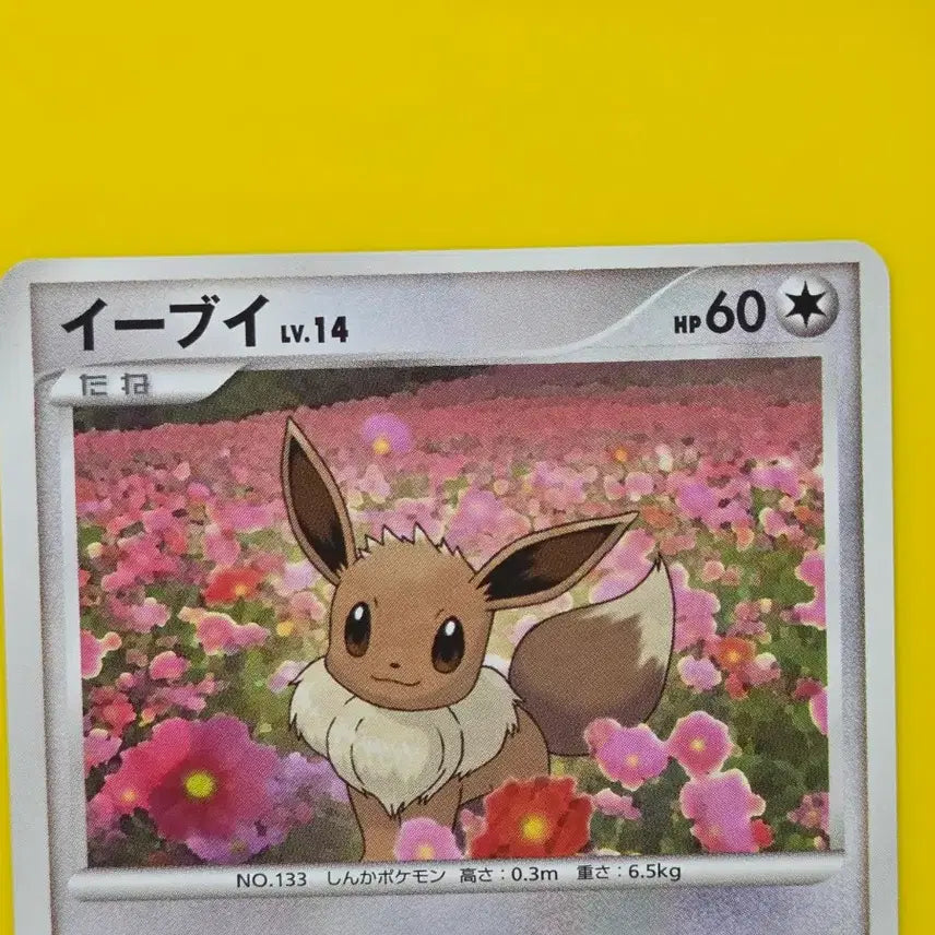 [BUNJANG] Pokemon Eevee 2007 Rare Pink Flower Field Japanese Card (Near Mint) / 포켓몬카드 2007 희소 분홍꽃밭 이브이 고대카드 일판 일본판 미품