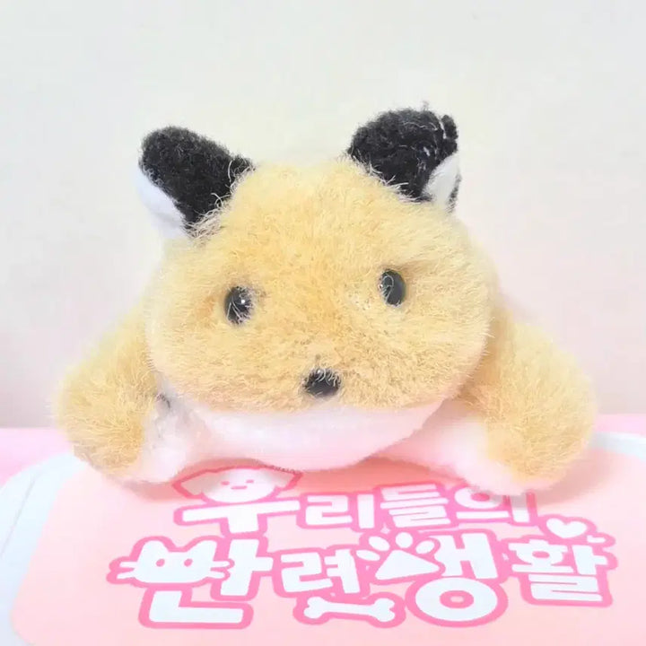 [BUNJANG] Vintage Baby Fox Plush Doll / 고전 빈티지 보송 포동 아기 여우 인형
