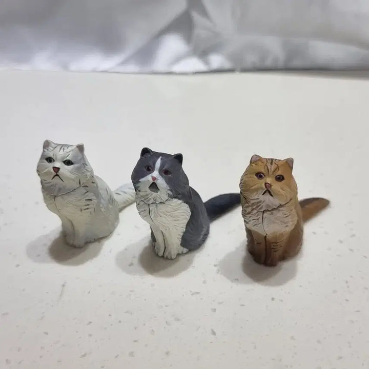 [BUNJANG] Kaiyodo Furuta Persian Cat Figure Set (3 Types) / 카이요도 후루타 페르시안 고양이 피규어 3종 생물 피규어