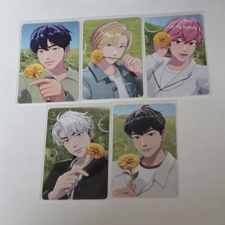 [BUNJANG] PlaYe [Member Name] Medipeel Photocard Bundle Set / 플레이브 메디힐포카판매