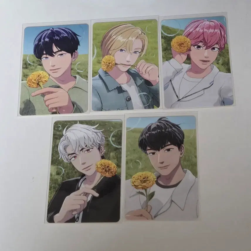 [BUNJANG] PlaYe [Member Name] Medipeel Photocard Bundle Set / 플레이브 메디힐포카판매