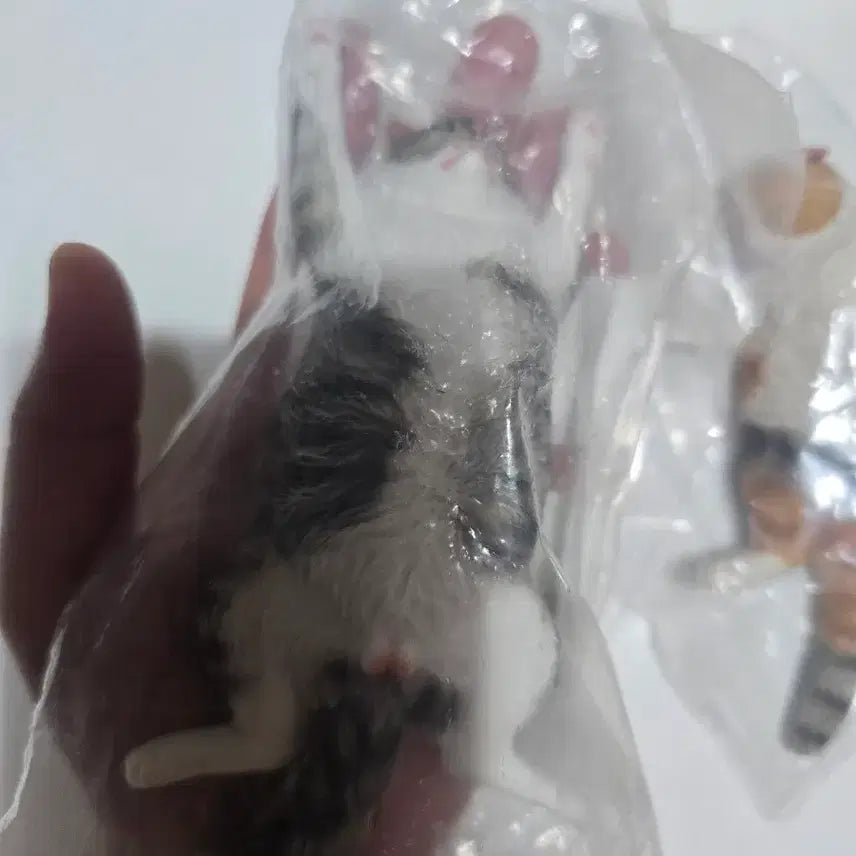 [BUNJANG] Cat Figure Bundle Set / 고양이 피규어 일괄