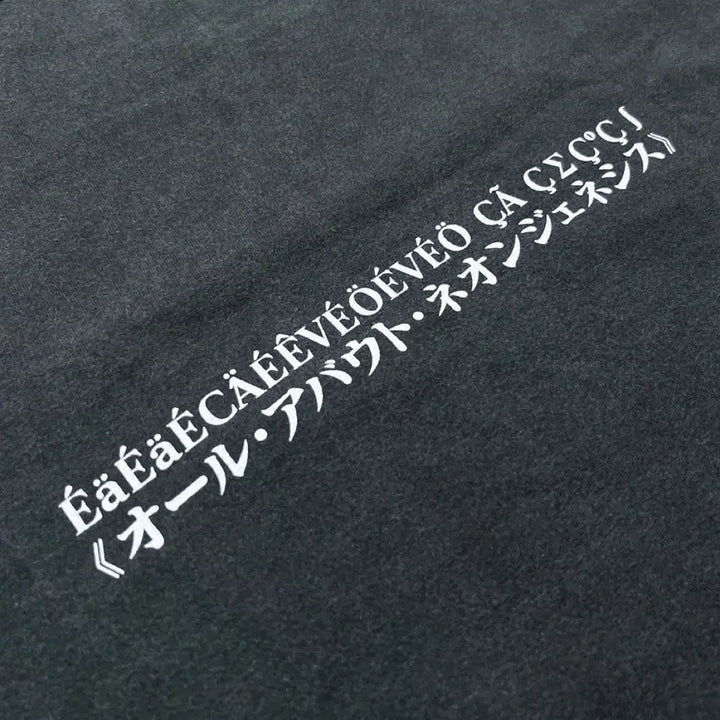 [BUNJANG] Lily Chou-Chou Evangelion Asuka Homage Bootleg T-Shirt / 릴리슈슈 에반게리온 아스카 오마주 부틀렉 티셔츠