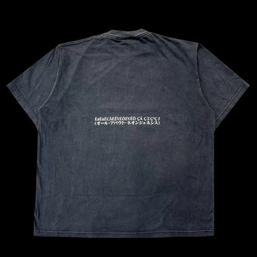 [BUNJANG] Lily Chou-Chou Evangelion Asuka Homage Bootleg T-Shirt / 릴리슈슈 에반게리온 아스카 오마주 부틀렉 티셔츠