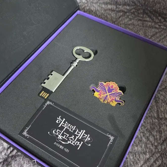 [BUNJANG] If I Could Be You For a Day Audio Webtoon USB Set / 하루만네가되고싶어 오디오웹툰
