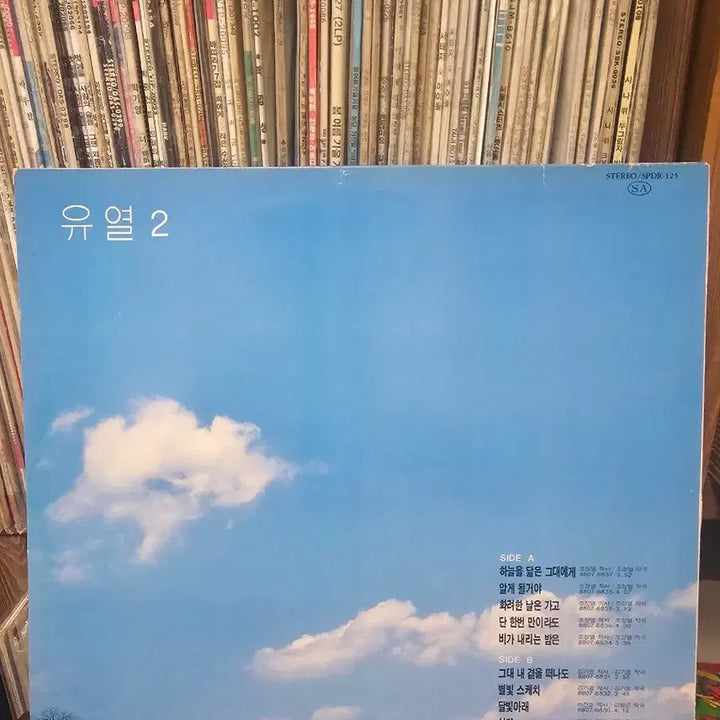 [BUNJANG] Yoo Yeol "To Those Who Resemble the Sky" 2nd Album LP / 유열 하늘을 닮은 그대에게 2집 LP