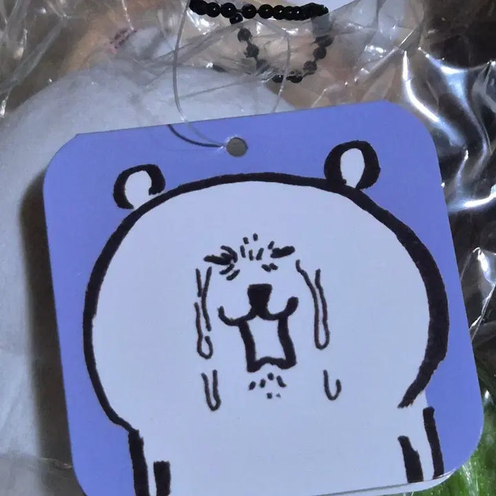 [BUNJANG] Nagano Market Crying Bear Plush / 나가노마켓 농담곰 오열곰 우는곰