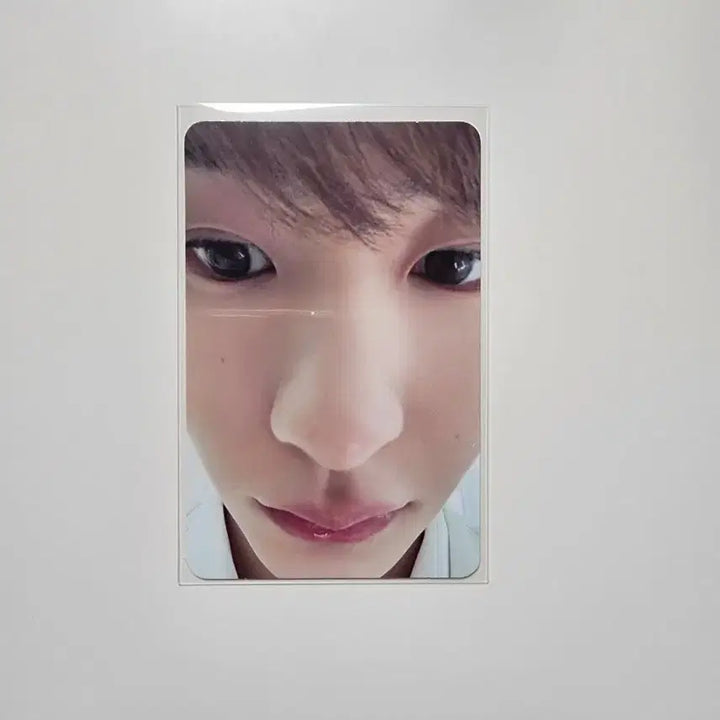 [BUNJANG] RIIZE Anton Photocard / 라이즈 앤토 포카 양도해요