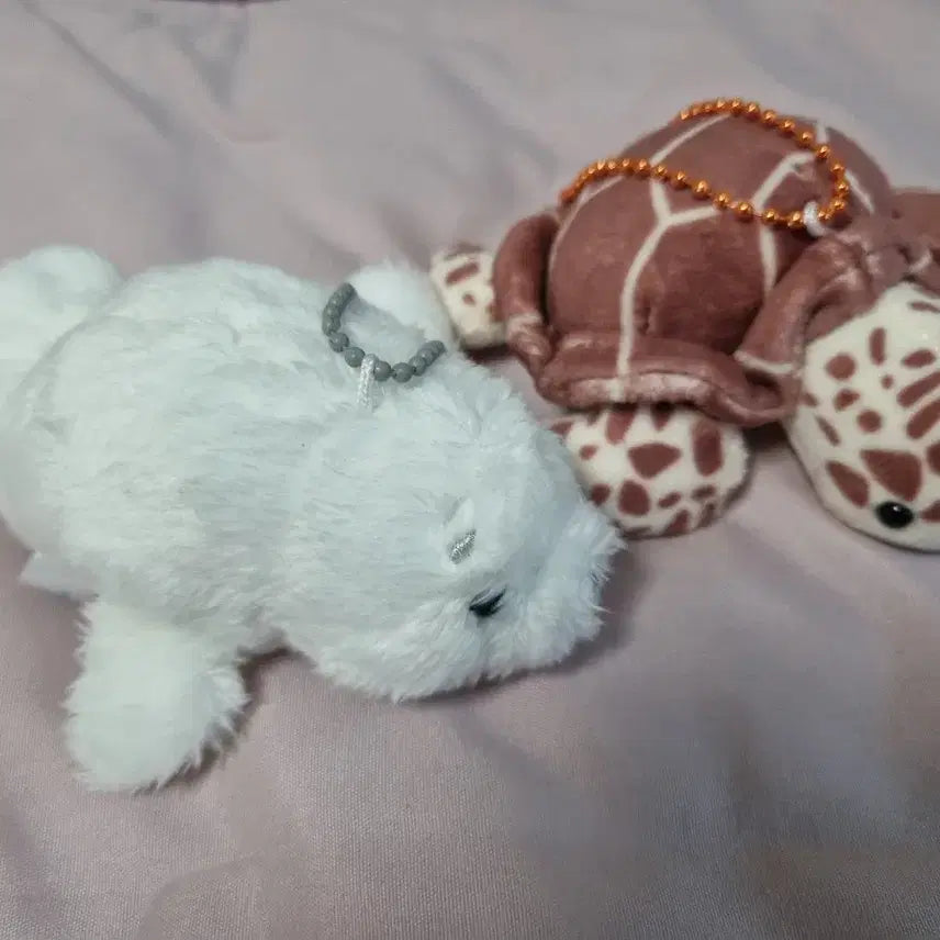[BUNJANG] Kitan Club Aquarium Animals Gacha Bundle Set (Sea Turtle, Seal) / (미개봉) 키탄클럽 수족관 동물 가챠  일괄 판매 (바다거북이, 물범)