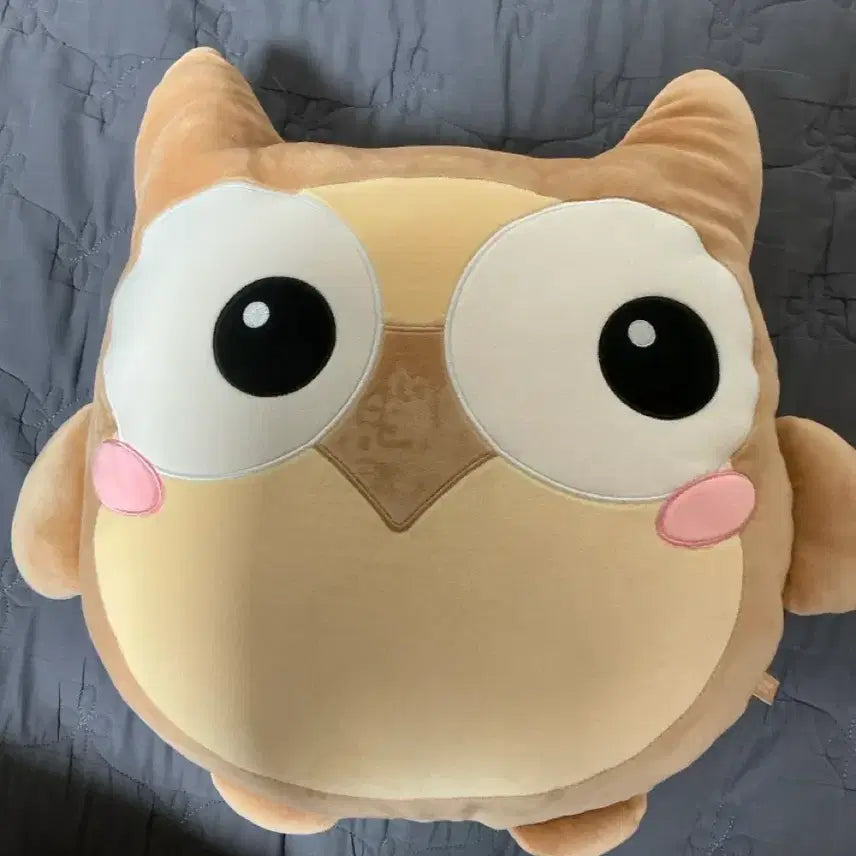 [BUNJANG] Sidae Injae Owl Plush / 시대인재 부엉이 인형