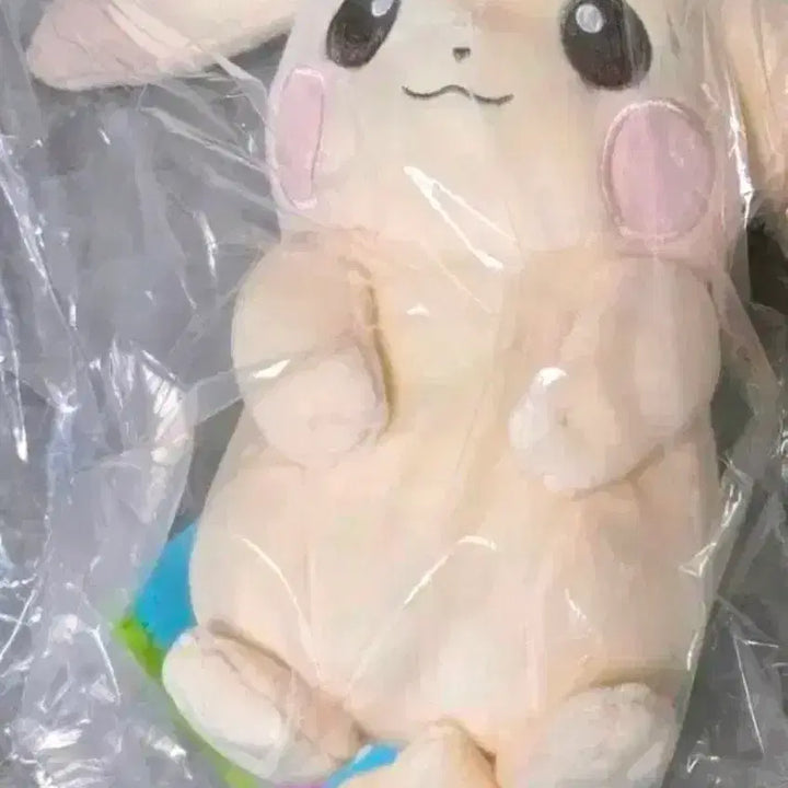 [BUNJANG] Ilfosen Pikachu Pocopia Palechu Plush Doll / 일포센 포켓몬 피카츄 포코피아 창백카츄 인형