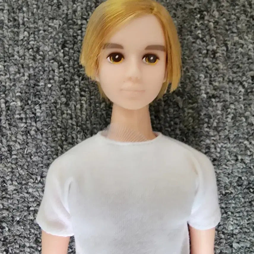 [BUNJANG] Rika Castle Jenny Boyfriend Rayfu Doll / 리카캐슬 제니 남자친구 레이후