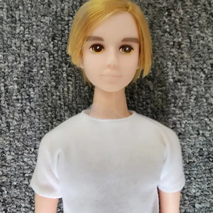 [BUNJANG] Rika Castle Jenny Boyfriend Rayfu Doll / 리카캐슬 제니 남자친구 레이후