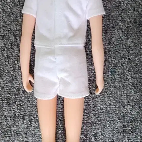 [BUNJANG] Rika Castle Jenny Boyfriend Rayfu Doll / 리카캐슬 제니 남자친구 레이후
