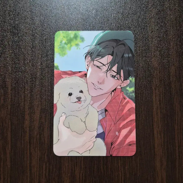 [BUNJANG] Mible Company Jeonlipseon Hamrak Bogoseo Photocard / 전립선 함락보고서 미블 컴퍼니 5만 특전 포카 5특 전함보