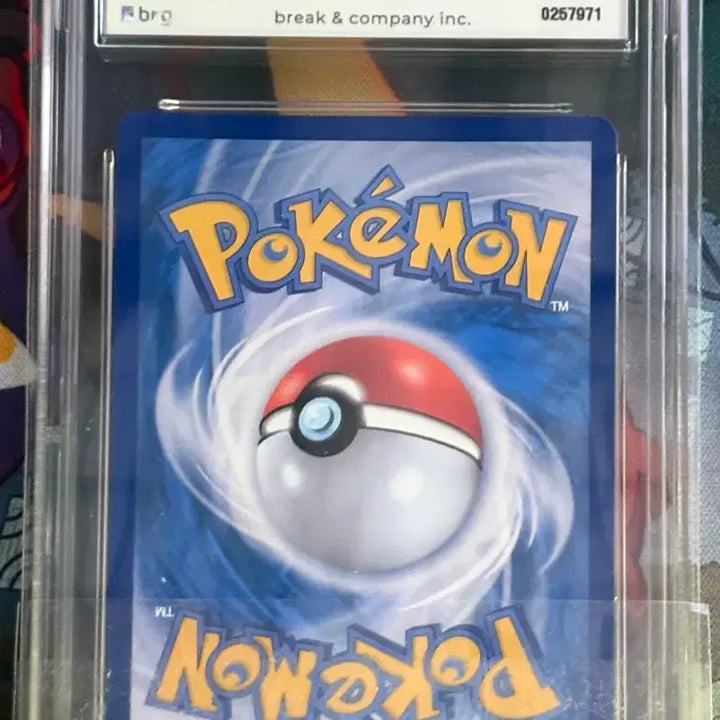 [BUNJANG] Pokemon Card Magma&