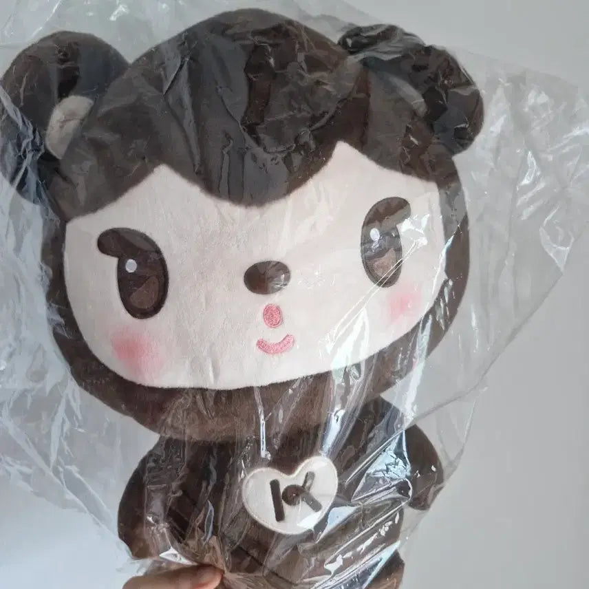 [BUNJANG] EXO Kai Nini Bear Hug Doll / 엑소 카이 니니베어 허그인형