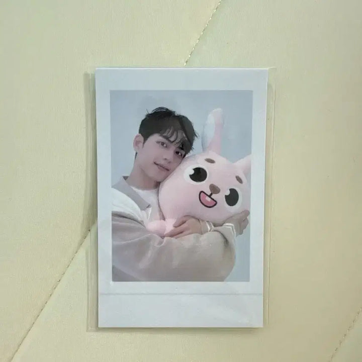 [BUNJANG] Day6 Giant Denimals Pili Doll Bundle Set (Polaroid Included) / 데이식스 자이언트 데니멀즈 필 양도 (폴라 포함)