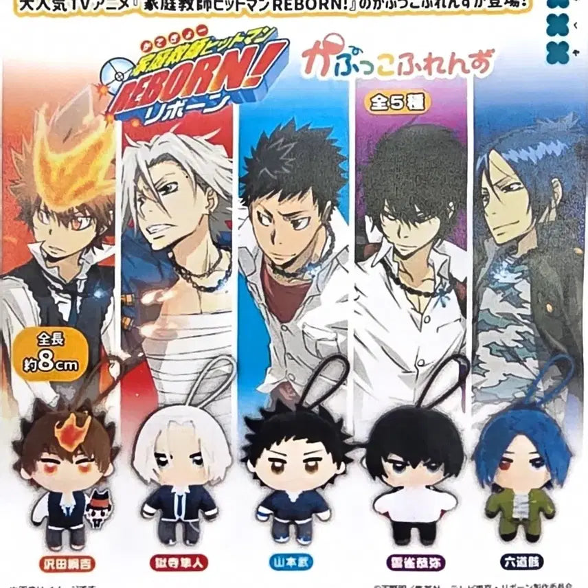 [BUNJANG] Katekyo Hitman Reborn! Capukko Friends Full Set (5 Types) Unsealed / (미개봉)가히리 가정교사 히트맨 리본 카풋코프렌즈 5종 풀세트