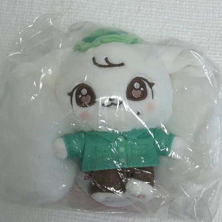 [BUNJANG] IVE Jang Wonyoung Cherry Everland Mini-B Plush Keychain / (미개봉) IVE 아이브 장원영 체리 에버랜드 미니브 캐스트 플러시 키링