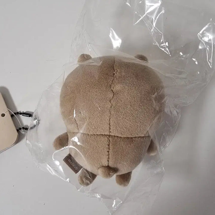 [BUNJANG] Tanddamgom Mascot (Unsealed) / 탄담곰 태닝담곰 태닝곰 농담곰 담곰이 마스코트 개봉