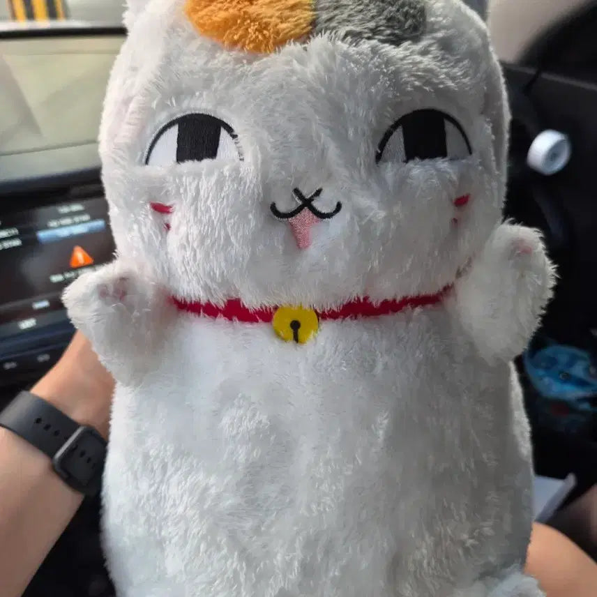 [BUNJANG] Nyan-ko Sensei Plush Doll / 냥코센세 인형
