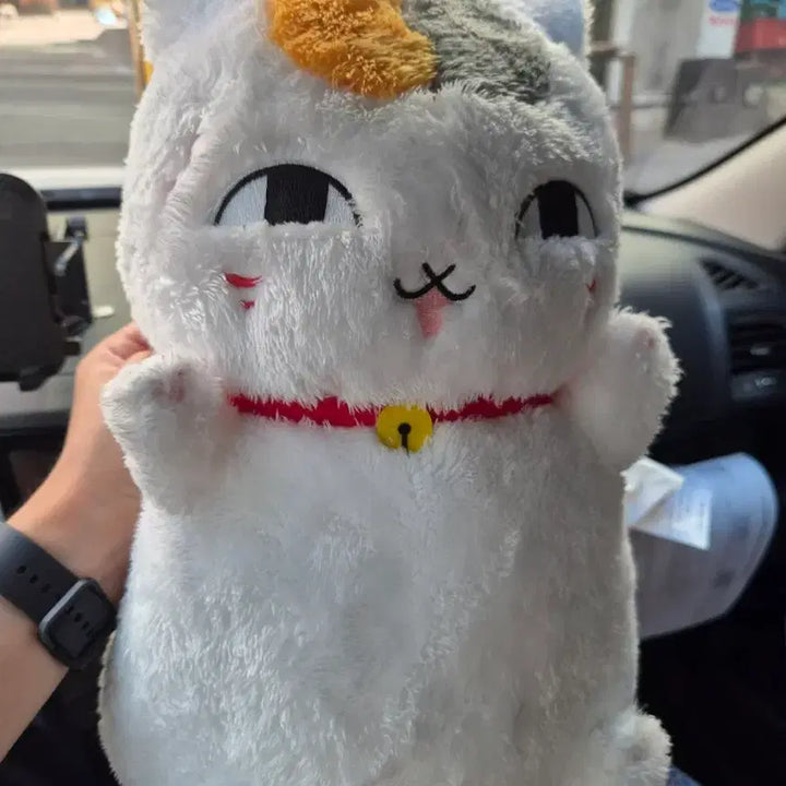 [BUNJANG] Nyan-ko Sensei Plush Doll / 냥코센세 인형
