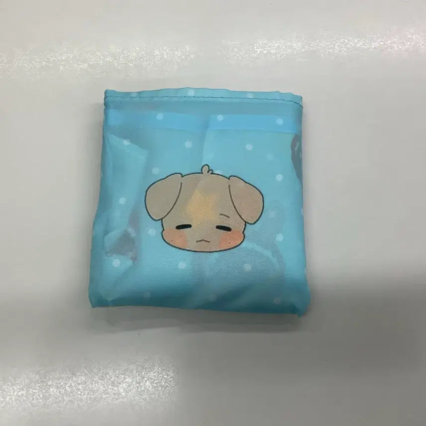 [BUNJANG] NCT WISH Jaehee Daeyoung Bakuback Bag / 엔시티위시 재희 대영 생카 바쿠백