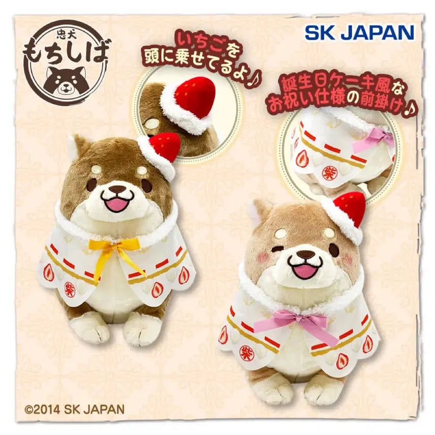 [BUNJANG] Mochishiba Monaka Birthday Commemorative Doll / [초특가] 모찌시바 모나카 생일축하기념 인형판매 일본정품
