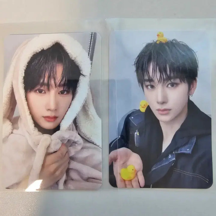 [BUNJANG] ALPHADRIVEONE (ALDI1) Anshin Rabbit Blanket Photocard / 알파드라이브원 알디원 안신 토끼담요 토담 포카(오리포카 덤)