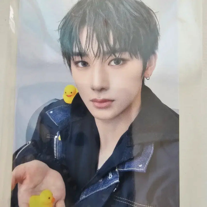 [BUNJANG] ALPHADRIVEONE (ALDI1) Anshin Rabbit Blanket Photocard / 알파드라이브원 알디원 안신 토끼담요 토담 포카(오리포카 덤)