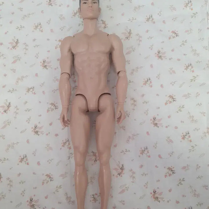 [BUNJANG] Popipoker Silkstone Ken Mannequin Doll Jointed Doll / 포피파커 실크스톤 남자인형 켄 남자 남성 바비인형 관절인형 저가형 옴므