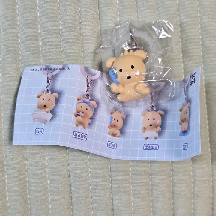 [BUNJANG] Kamja Mejirushi Gacha Marking Accessory Kkotdan jang Sealed / [미개봉] 깜자 메지루시 가챠 마킹 악세서리 꽃단장