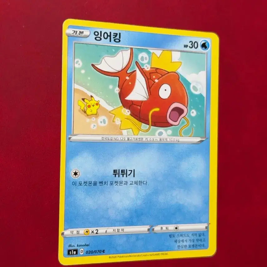 [BUNJANG] Kanahei Magikarp (Pikachu) Misaligned Vintage Pokemon Card / 귀여운 포켓몬 고전 카드 카나헤이 잉어킹(피카츄) 쏠림