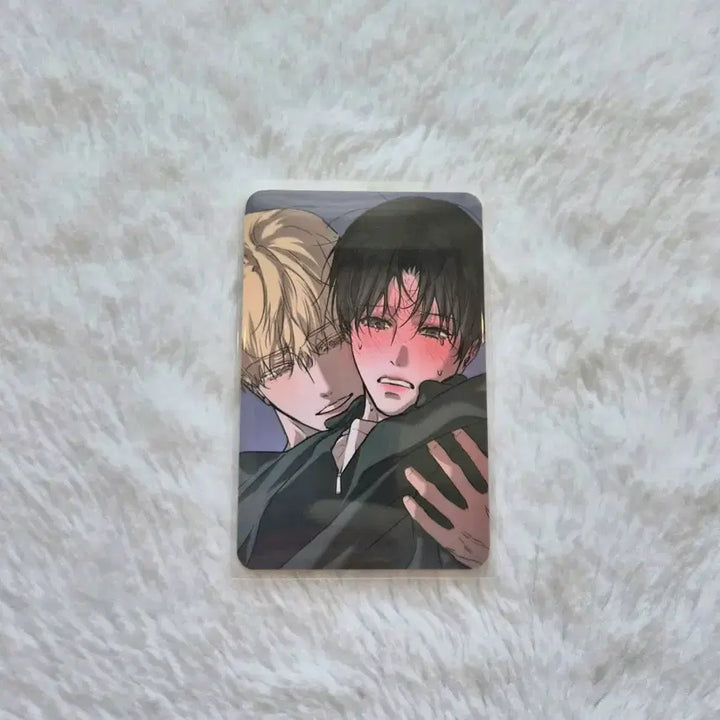 [BUNJANG] Cafe Le Bom Romantic Apocalypse Photocard / 카페레봄 낭만묵시록 특전 포토카드,인화사진.살롱 드 르봉