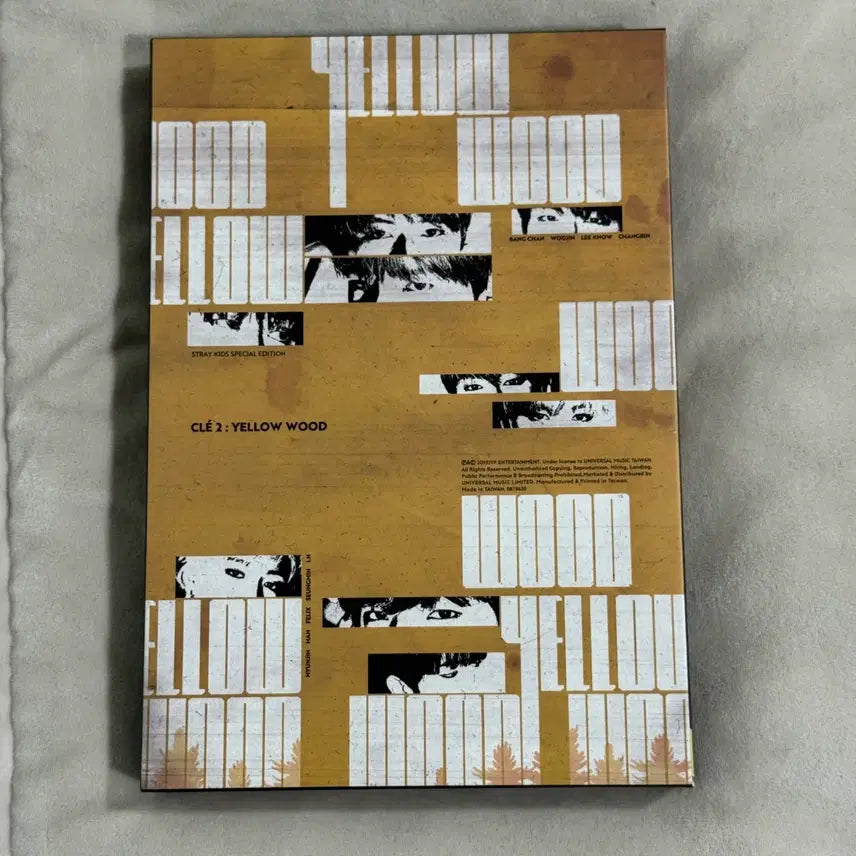 [BUNJANG] Stray Kids Seungmin Side Effects Taiwan Photocard, Fake Polaroid, and Album Bundle Set / 스트레이키즈 승민 부작용 대만 포카 + 짭폴라 + 앨범 일괄