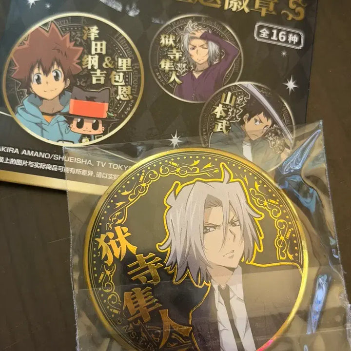 [BUNJANG] Katekyo Hitman Reborn! Hayato Gokudera Can Badge Pin / 가정교사 히트맨 리본 가히리 캔뱃지 핀버튼 고쿠데라 하야토