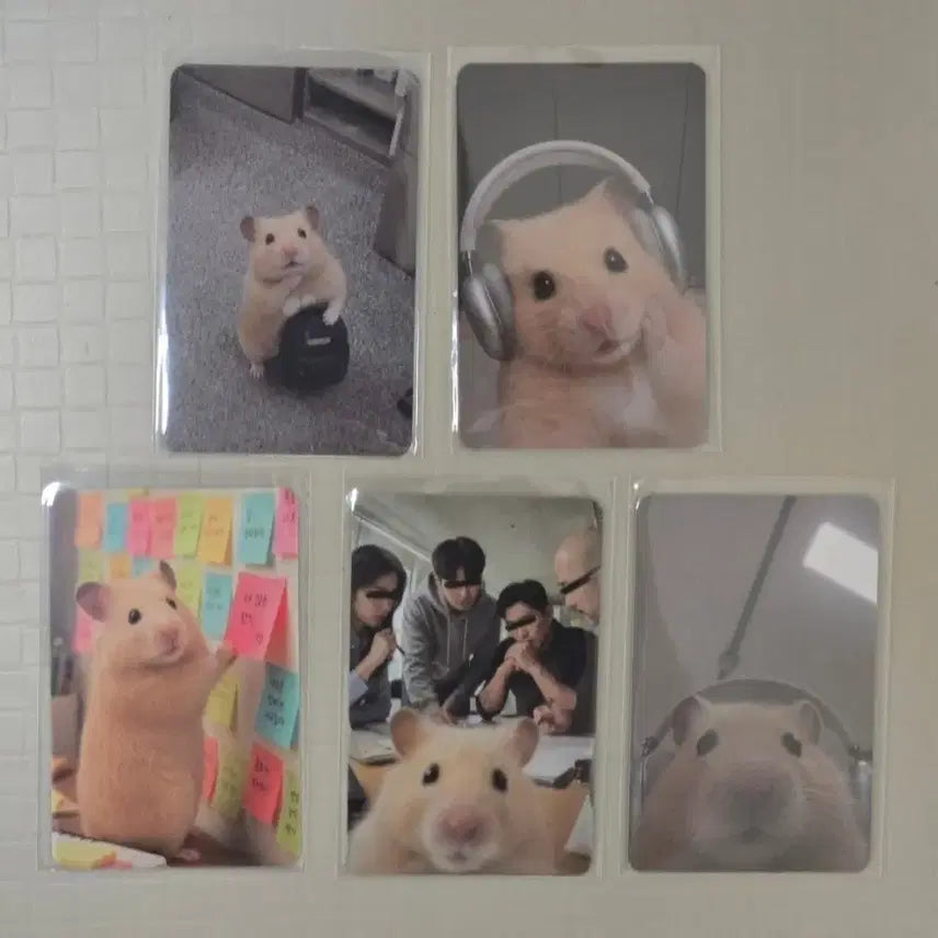 [BUNJANG] Kim Hamzzi Photocard 5-Set (Sealed) / 정서불안 김햄찌 포토카드 5종 세트+부채