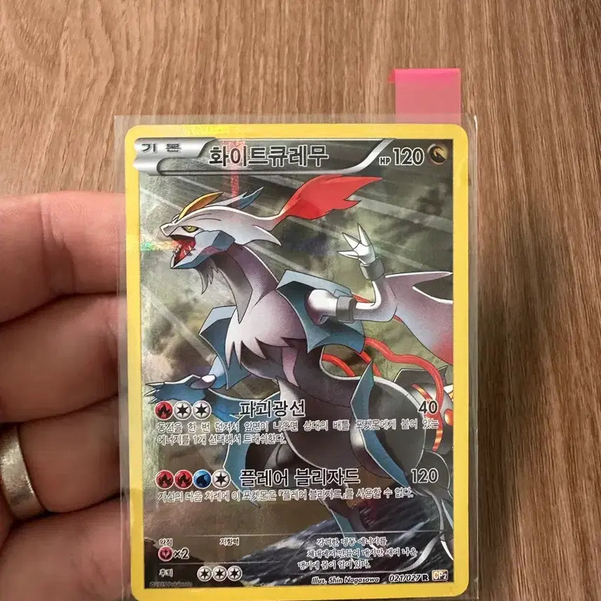 [BUNJANG] Pokemon Cards Black Kyurem/White Kyurem Bundle Set / 포켓몬 카드 /블랙큐레무/화이트큐레무 일괄
